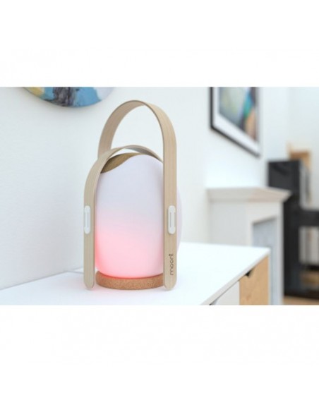 Couvercle En Liége MOONI Pour Plaque De Charge Couvercle En Liége MOONI Pour Plaque De Charge