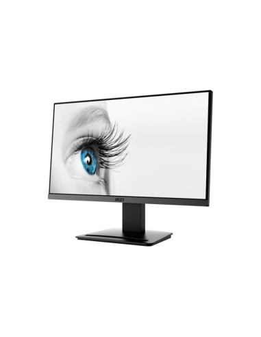 Ecran MSI Pro MP223 21.45" Full HD