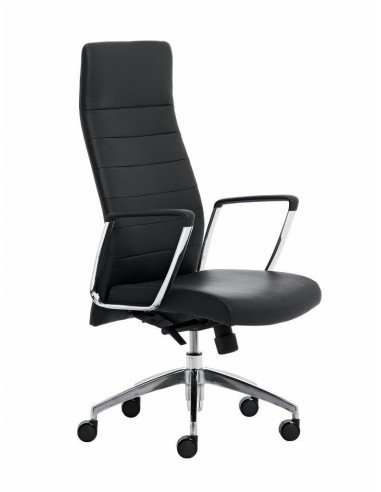 Fauteuil Ergonomique ZAIRA Avec Accoudoirs - Chez Oxtek