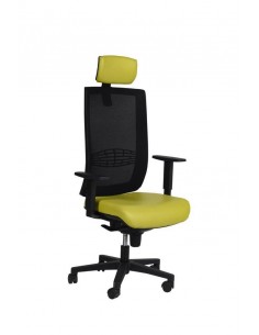 Fauteuil Ergonomique KIND