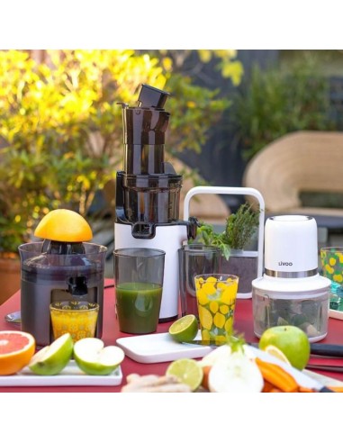 Extracteur De Jus LIVOO DOP238...
