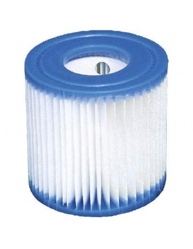 Cartouche de filtration Intex H