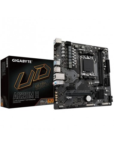 Carte mère gigabyte a620m h