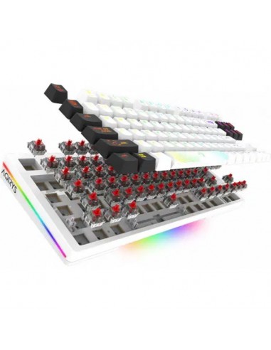 Clavier Gamer Mécanique AQIRYS ALUDRA TKL100% Anti-Ghosting RGB - Blanc Clavier Gamer Mécanique AQIRYS ALUDRA TKL100% Anti-Ghosting RGB - Blanc