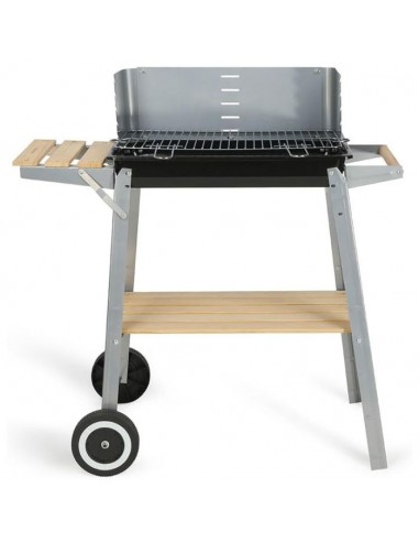 Barbecue à Charbon LIVOO DOC244 - Silver