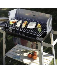 Barbecue à Charbon LIVOO DOC244 - Silver