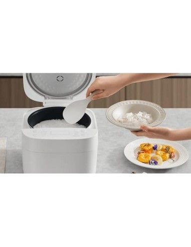 Cuiseur à riz multifonction intelligent Xiaomi Cuiseur à riz multifonction intelligent Xiaomi