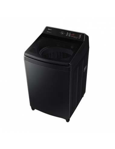 Lave-linge Samsung 19,0 kg - Noir (WA19CG5745BDFA) Lave-linge Samsung 19,0 kg - Noir (WA19CG5745BDFA)