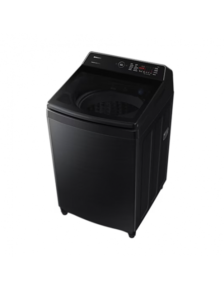 Lave-linge Samsung 19,0 kg - Noir (WA19CG5745BDFA) Lave-linge Samsung 19,0 kg - Noir (WA19CG5745BDFA)