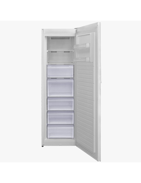 congélateur armoire Biolux grande capacité avec 6 tiroirs