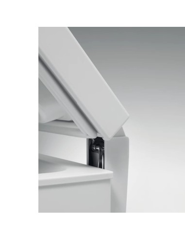 Congélateur Whirlpool CF610A 580L blanc conservation longue durée