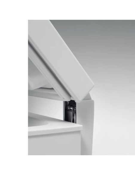 Congélateur Whirlpool CF610A 580L blanc conservation longue durée
