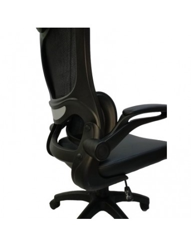 Chaise Directeur MOLO