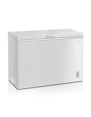 congélateur horizontal 255 litres rangement viande poisson