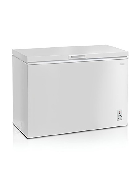 congélateur horizontal 255 litres rangement viande poisson
