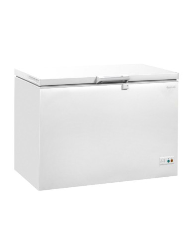 Congélateur Horizontal Focus FC3001W 300L Blanc Prix