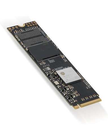 SSD PCIe 256Go noir Ridata stockage rapide fiable