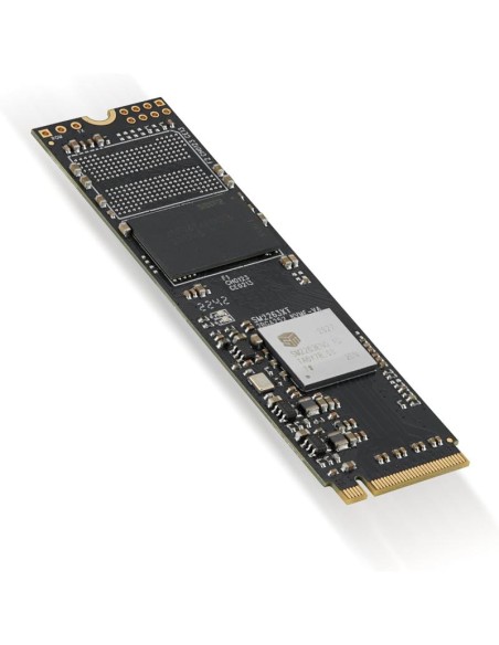 SSD PCIe 256Go noir Ridata stockage rapide fiable