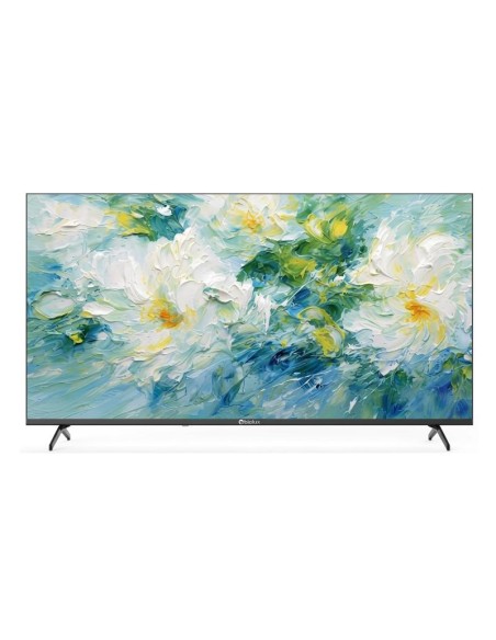 TV Biolux M.QLED50SM connectivité WiFi 5G Bluetooth 5.1
