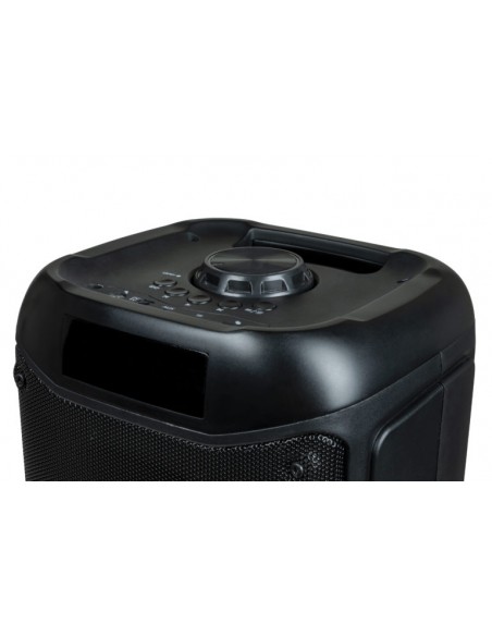Enceinte sans fil portable puissante avec effets lumineux PARTYBTHPL / 200W / Noir