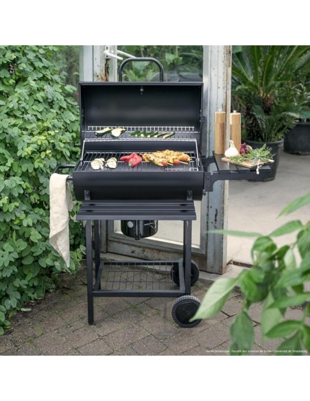 Barbecue charbon LIVOO structure acier robuste jardin Barbecue charbon LIVOO structure acier robuste jardin