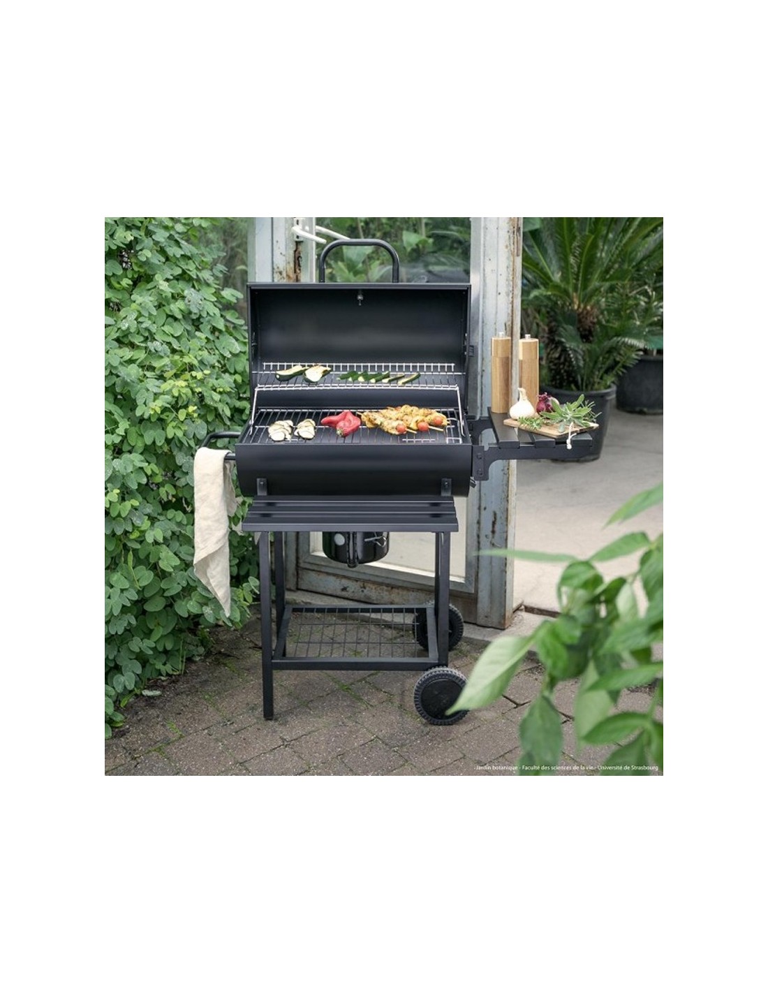 Barbecue charbon LIVOO avec grille réglable extérieur