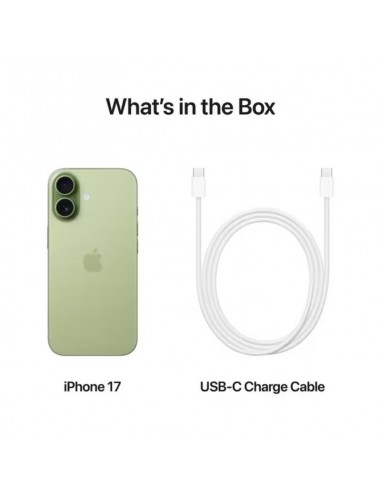 iPhone 17 5G Vert Face ID et écran dynamique