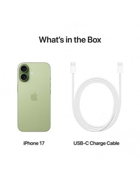 iPhone 17 5G Vert Face ID et écran dynamique
