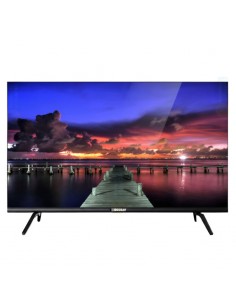 TV ECOSAT 43" avec récepteur gratuit Fun 40 Lite inclus 2