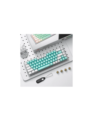 Clavier Gamer Mécanique Redragon Castor Pro K631 PRO-GW RGB Blanc(K631RGB-PRO-GW) Clavier Gamer Mécanique Redragon Castor Pro K631 PRO-GW RGB Blanc(K631RGB-PRO-GW)