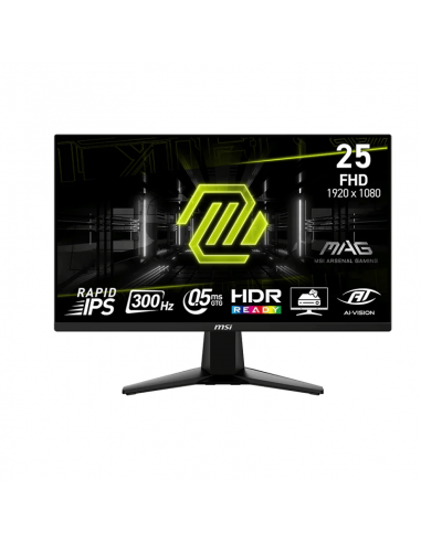 Ecran Gaming Msi MAG255XF 24,5” FHD Flat 300 Hz Noir (9S6-3BC21M-021)