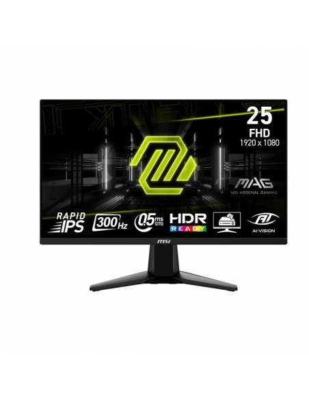 Ecran Gaming Msi MAG255XF 24,5” FHD Flat 300 Hz Noir (9S6-3BC21M-021) Ecran Gaming Msi MAG255XF 24,5” FHD Flat 300 Hz Noir (9S6-3BC21M-021)