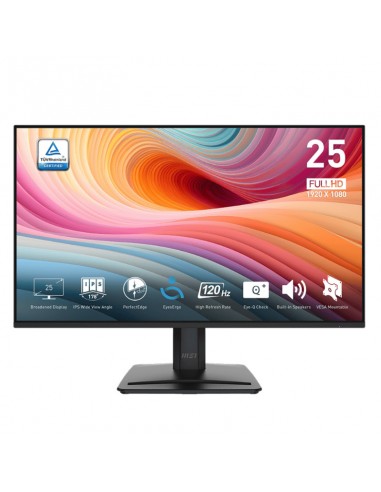 MSI PRO MP251 E2 écran IPS Full HD 120 Hz noir MSI PRO MP251 E2 écran IPS Full HD 120 Hz noir
