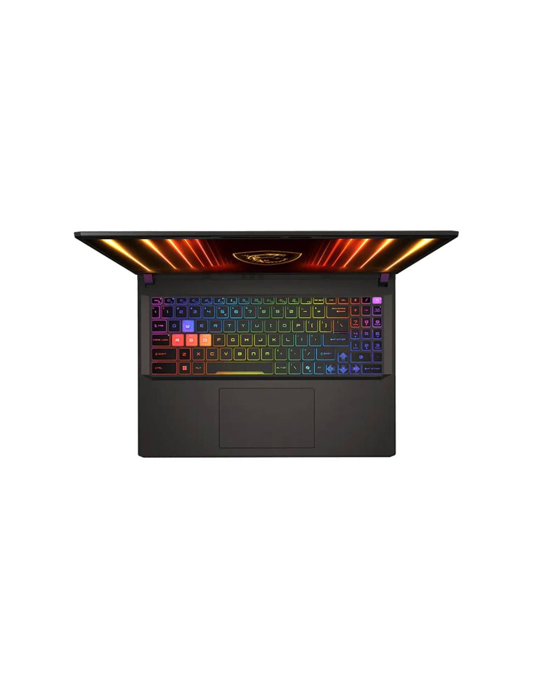 MSI Vector 16 RTX 5080 écran QHD+ IPS 240Hz gaming