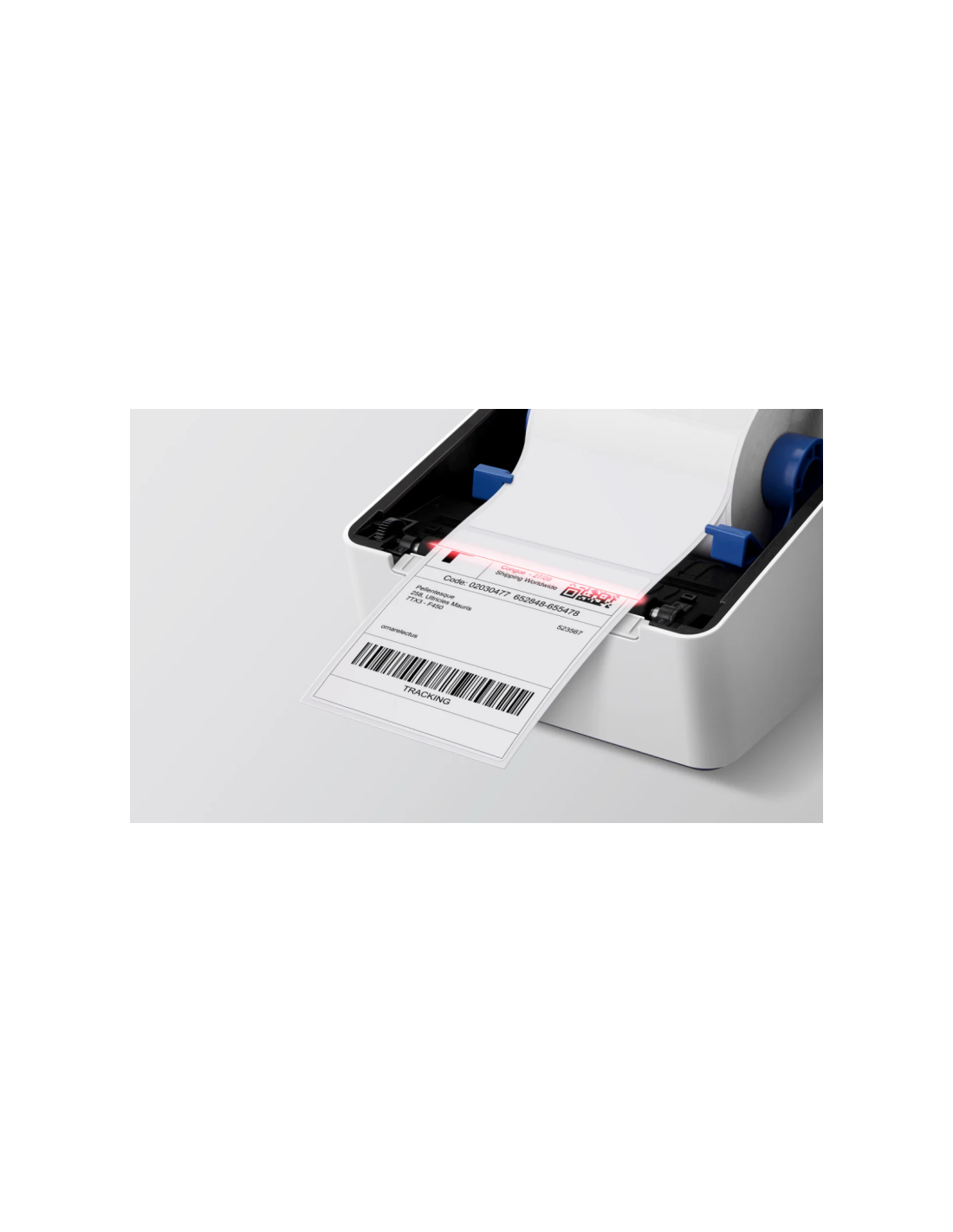 Connectivité imprimante HP 203dpi