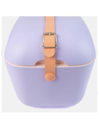Glacière POLARBOX 9409 Purple avec couvercle amovible Glacière POLARBOX 9409 Purple avec couvercle amovible