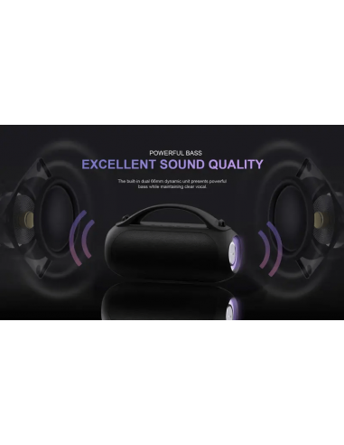 Havit SK821BT Enceinte sans fil Bluetooth(SK821BT)