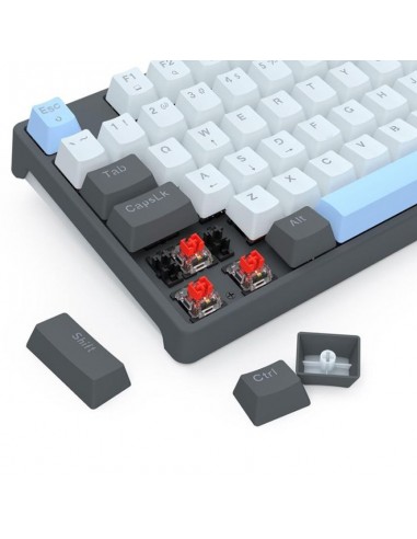Clavier Gamer Redragon Caesura K718 RGB Gris(K718GB-R) Clavier Gamer Redragon Caesura K718 RGB Gris(K718GB-R)