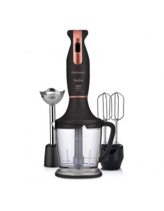 Mixeur 3EN1 GOLDMASTER BADEM / 500 W prix tunisie
