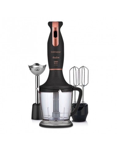 Mixeur 3EN1 GOLDMASTER BADEM / 500 W prix tunisie