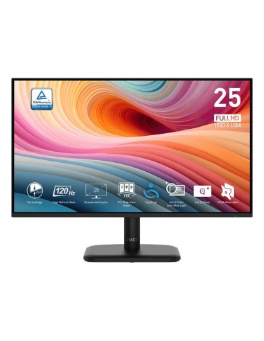 Ecran MSI Pro MP251L E2 25'' FHD 120Hz IPS Noir (9S6-3PD2CM-018)