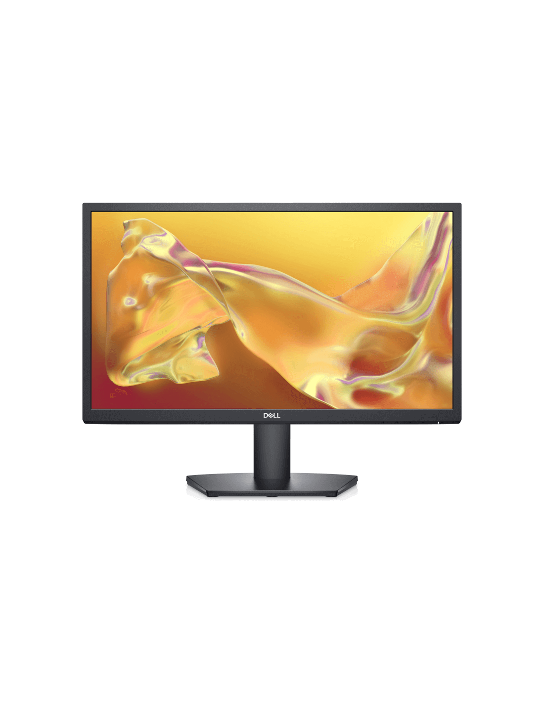 Moniteur DELL PRO SE2225HM 100 Hz