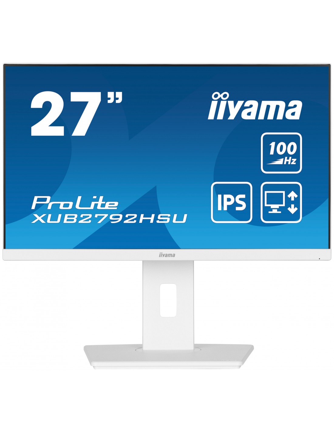 Connectivité de l'Écran iiyama PROLITE 27"
