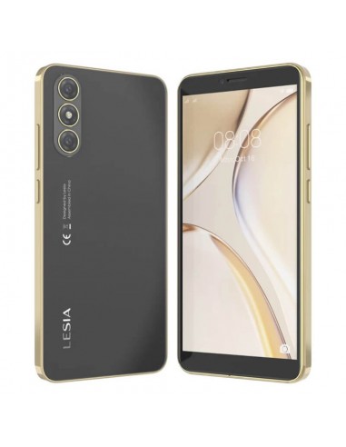 Téléphone Lesia Android entrée de gamme double SIM