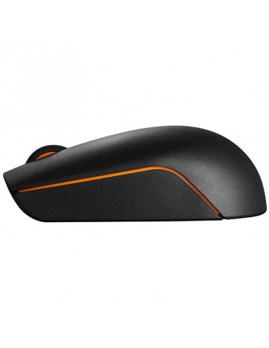 Souris LENOVO 300 légère et silencieuse avec 3 boutons ergonomiques Souris LENOVO 300 légère et silencieuse avec 3 boutons ergonomiques