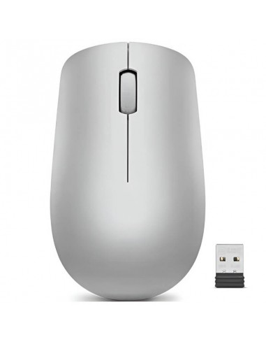 Souris bureautique LENOVO pratique pour usage quotidien Souris bureautique LENOVO pratique pour usage quotidien