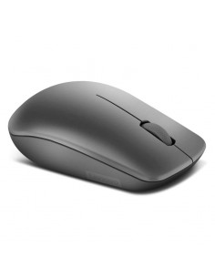 Souris LENOVO 530 compacte pour usage quotidien PC 2