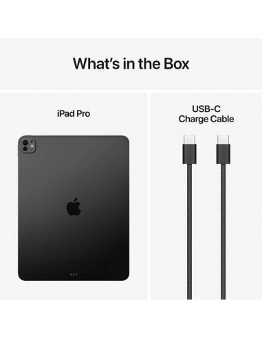 Apple iPad Pro 13 pouces WiFi idéal pour dessin et design