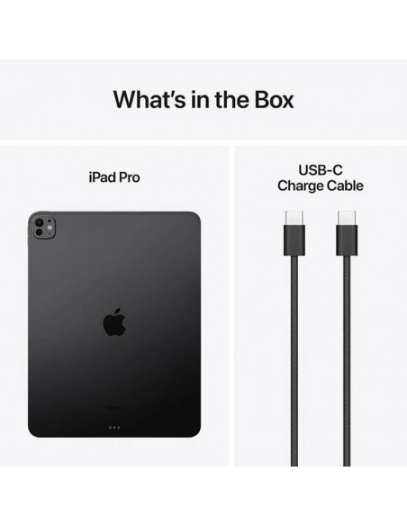 Apple iPad Pro 13 pouces WiFi idéal pour dessin et design