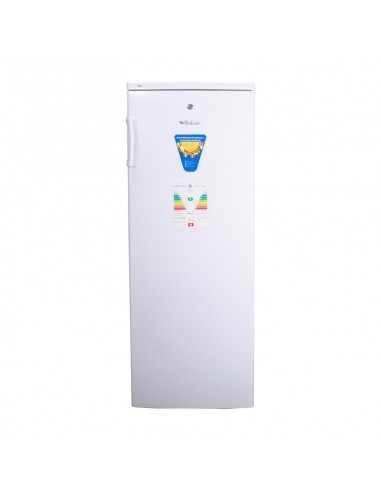 Congélateur domestique BIOLUX blanc, préserve aliments frais Congélateur domestique BIOLUX blanc, préserve aliments frais